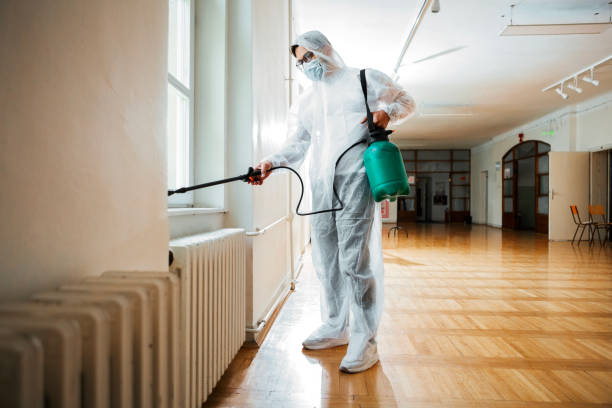 Best Fumigation Services  in Medford, NY